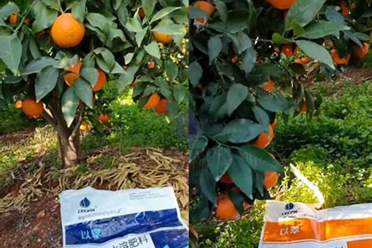 果树增甜用什么肥料好