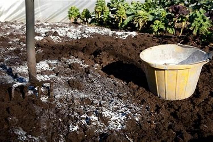 液体钙肥兑多少水冲施不烧根