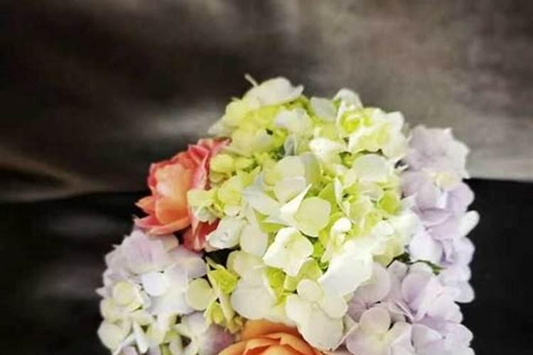 玫瑰花怎么施肥,玫瑰花施氮磷钾肥最为合适