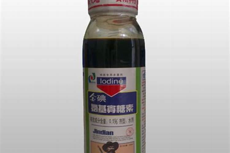 蝴蝶兰可以用土栽培吗