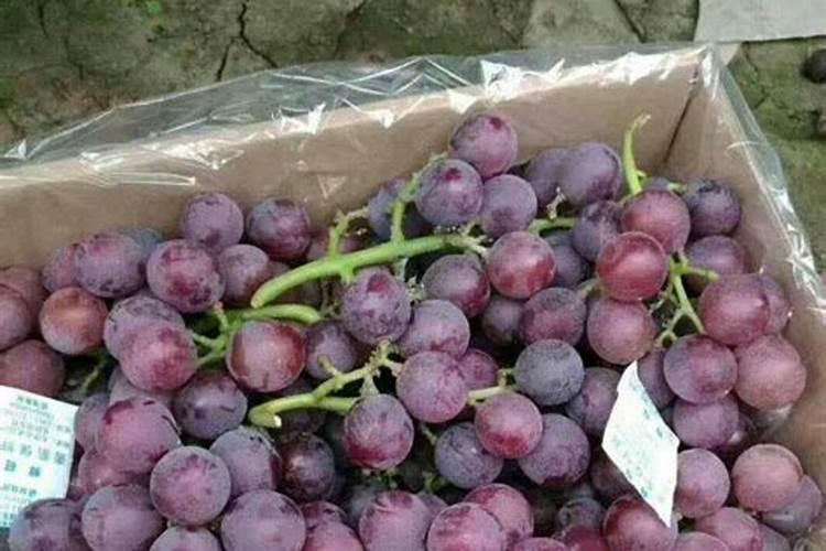 大豆叶面肥配方技术