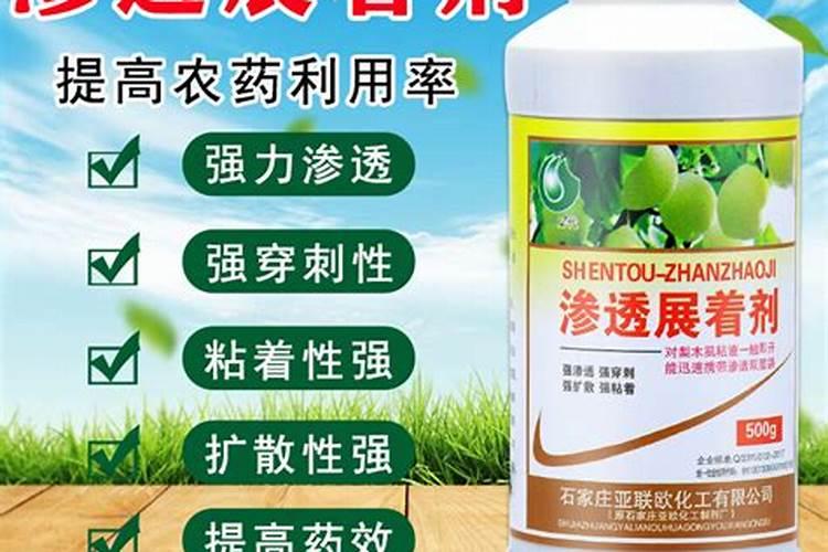 有机硅肥料
