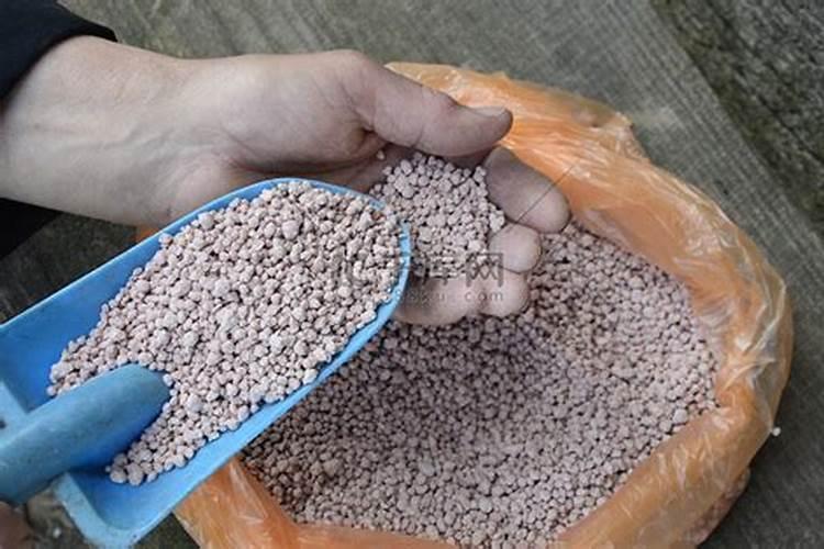 芸苔素和什么叶面肥混用在苗床上比较好？