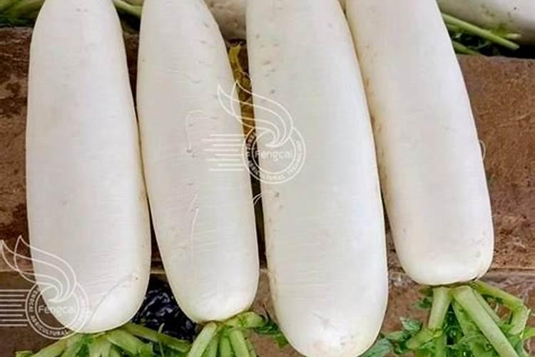 蚯蚓粪可以直接种花吗 蚯蚓粪适合直接当肥料种花吗