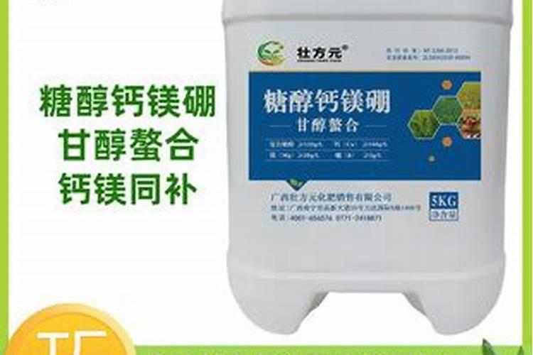 油茶苗品种