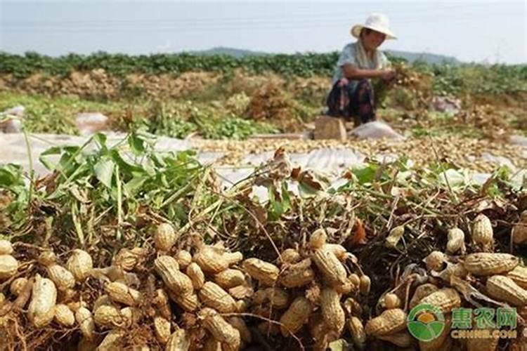 制备碱的两种方法