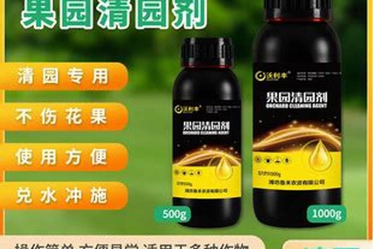 葡萄清园一般什么时候 葡萄清园可以打波尔多液吗