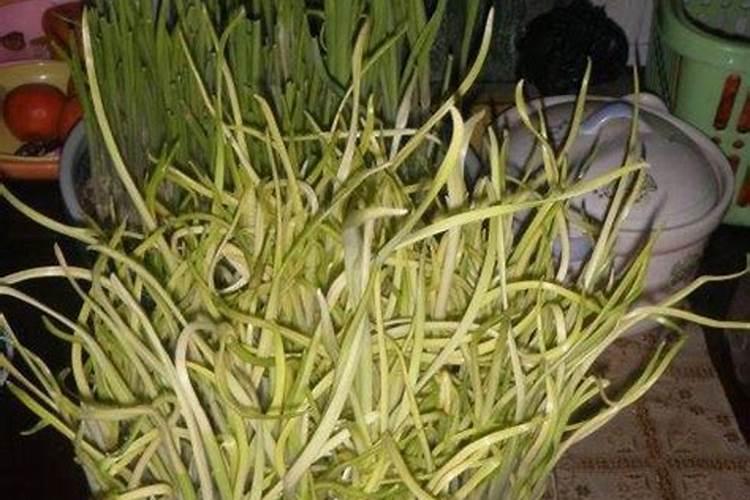 红薯和南瓜哪个更健康