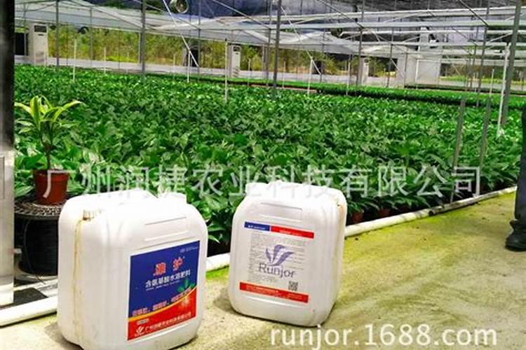 玉米施肥方法和用量 玉米怎么施肥能高产