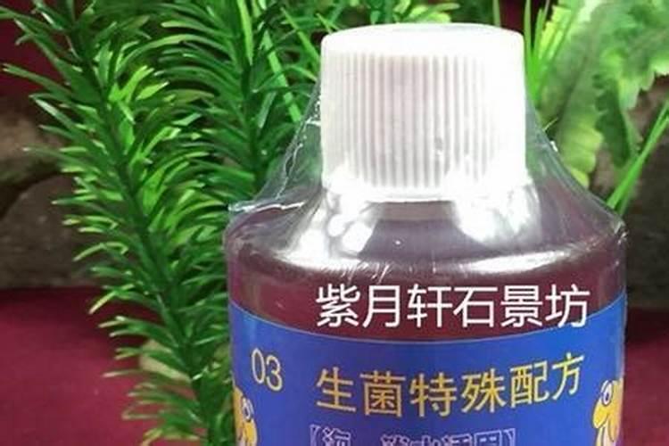 如何肥水 不起亚硝酸盐