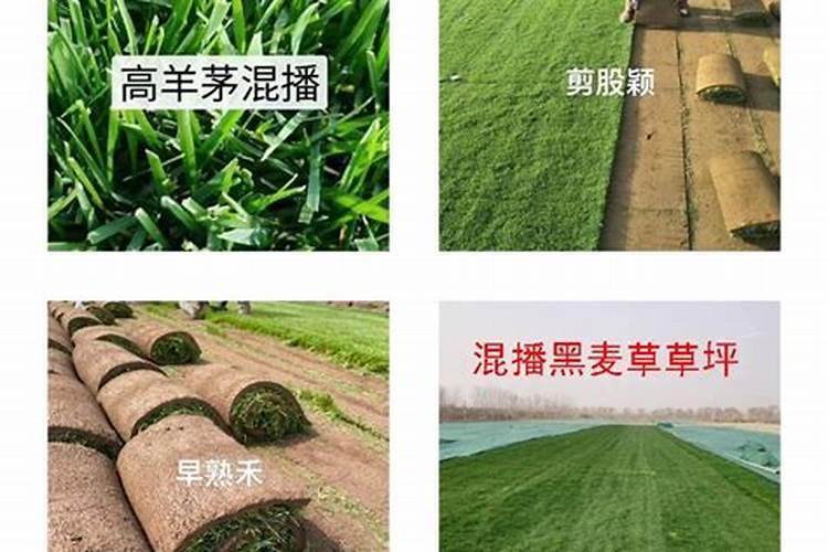 生活中常见的高钙、高钾、高氯、高磷食物有哪些？并分析这四种食物的关...