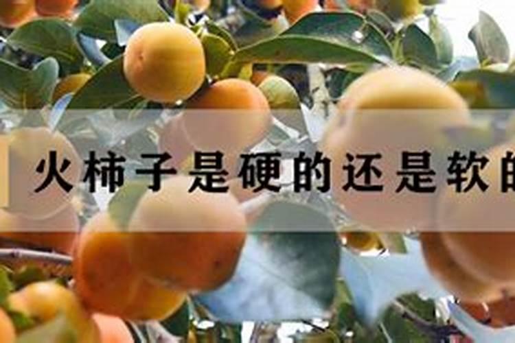 黄腐酸钾多少钱