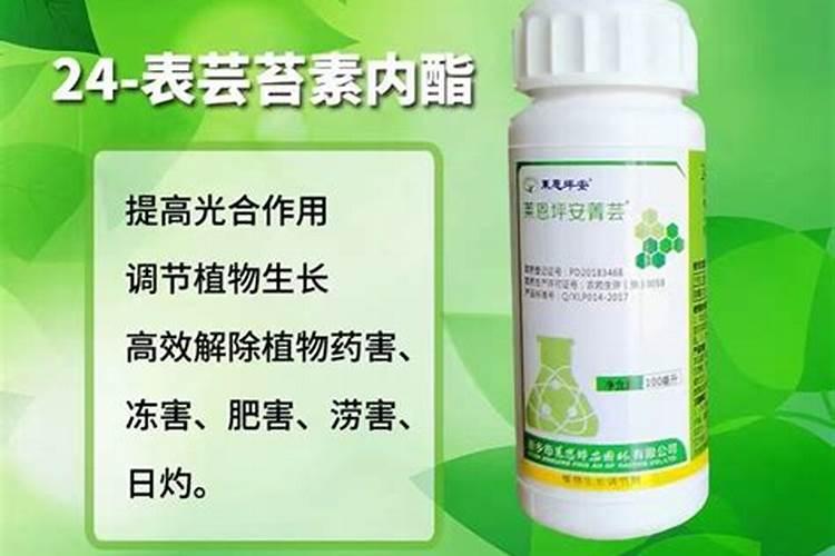 芸苔素使用有什么禁忌