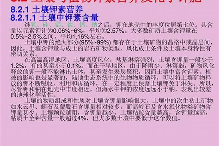 怎么样水培小麦