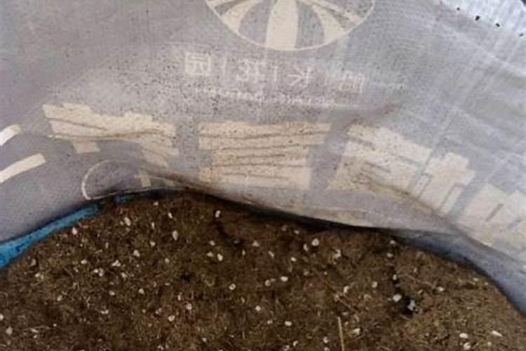 营养土是什么成分