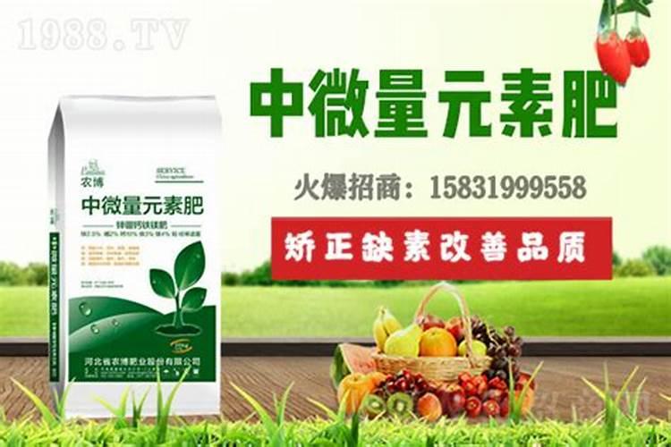 钙肥和硼肥能一起用吗
