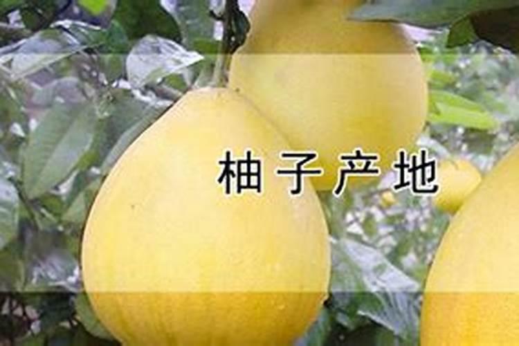 葡萄膨化后还浇水吗？