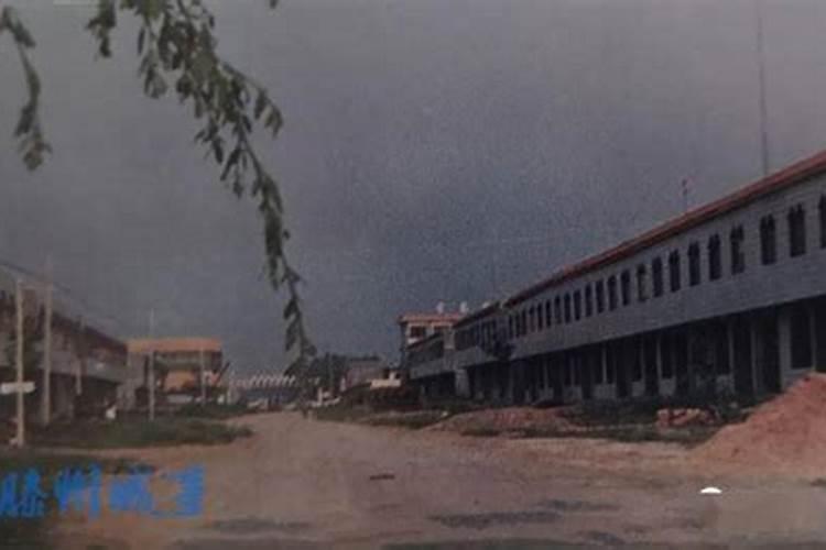 东魁杨梅种植技术,主要产地在哪里