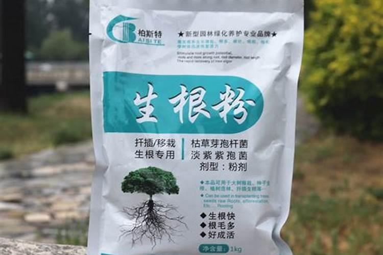 红薯控旺高产打什么药