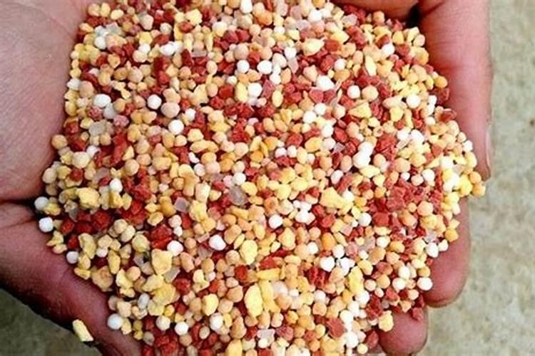 为什么种植甜菜过量使用化肥不好