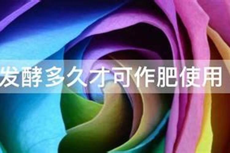 油茶开花时期应该喷何种叶面肥？