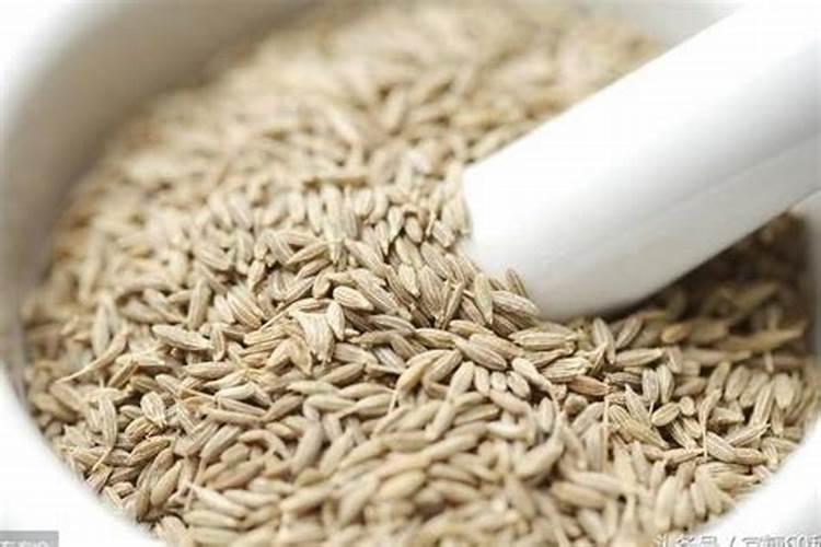 种油菜籽施什么肥料最好？