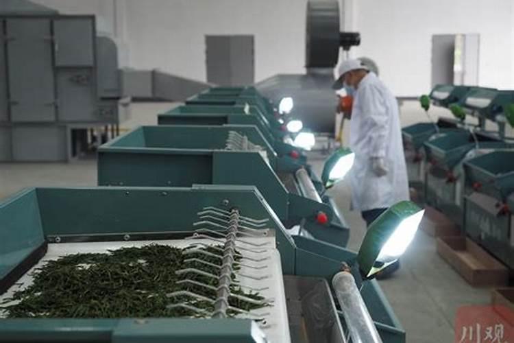 铜仁茗藐茶叶专用肥销售服务有限责任公司怎么样？