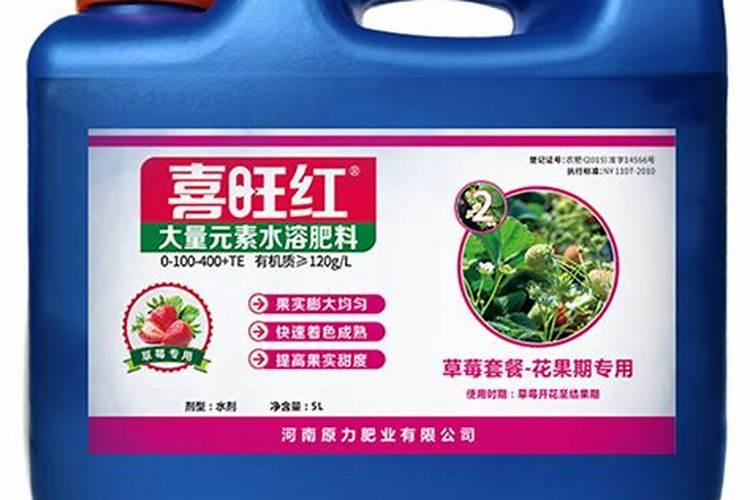 草莓要施什么肥料