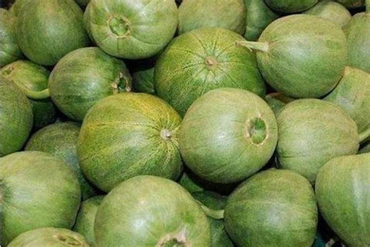 无土栽培种甜瓜,推荐一款好的水溶肥料营养液？