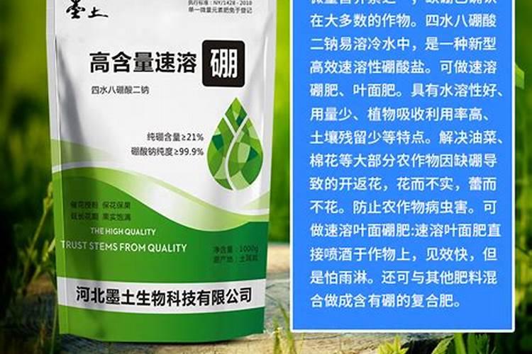 花木养护过程中的救治方法