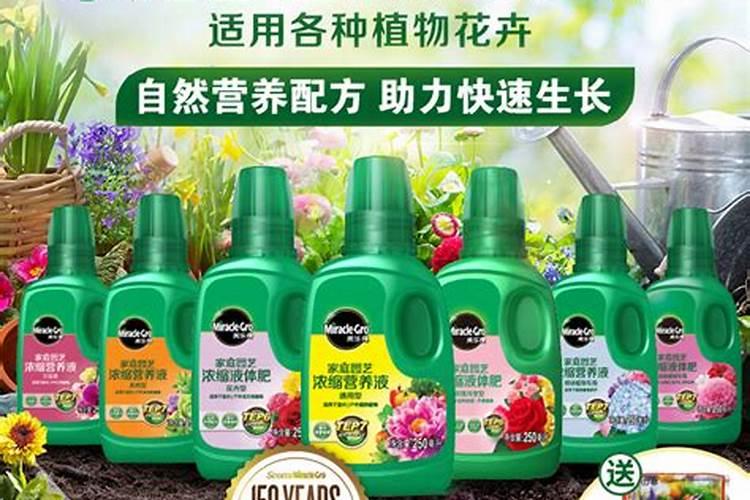 多肉用什么肥料施肥最好