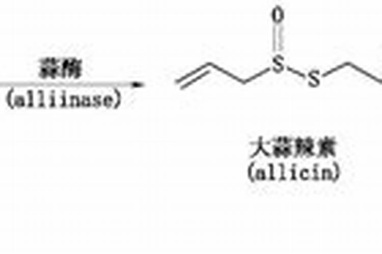 大蒜素是什么？大蒜素怎么产生？