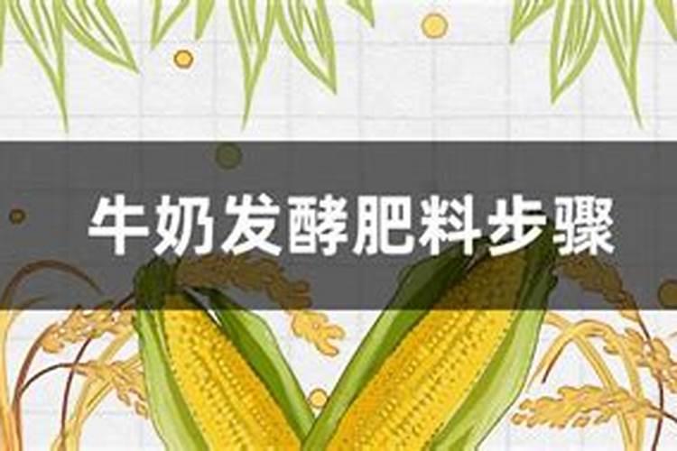 牛奶做叶面肥的方法,需要发酵还是不需要发酵