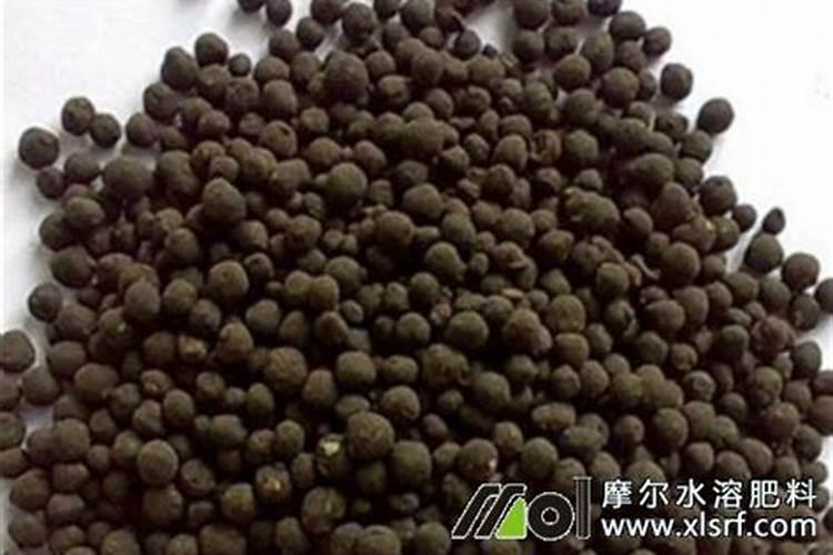 辣椒苗床期用什么肥料壮苗长得快