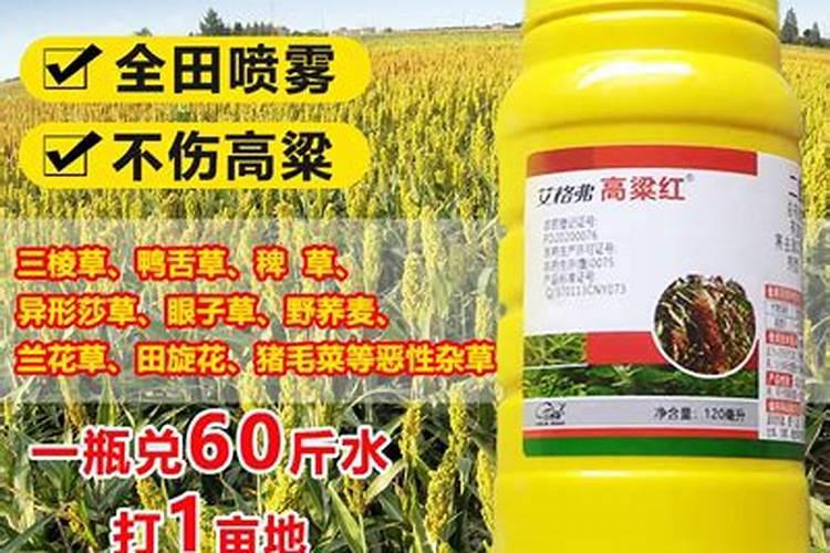高粱怎么施肥好 高粱的施肥技巧