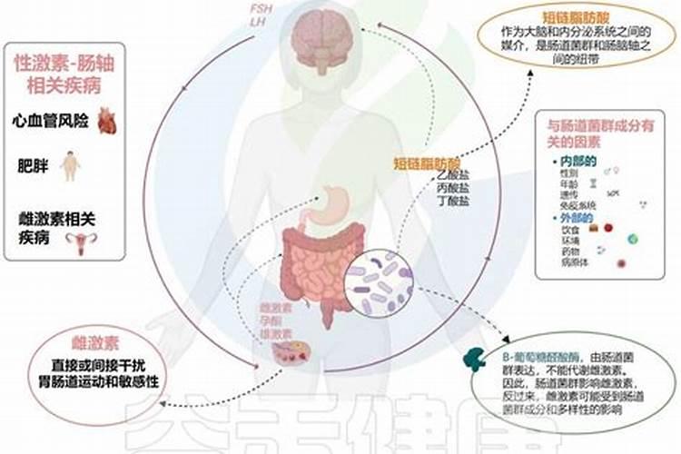 鱼蛋白为什么会发臭？
