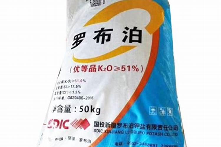 重庆线上抢菜攻略图