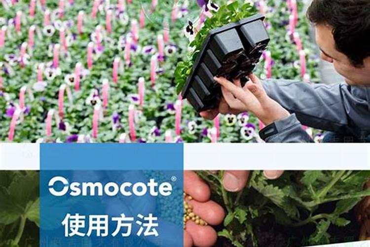 奥绿318s适合绣球残花休剪后用吗？