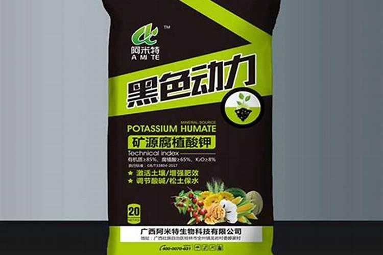 扶桑品种大全