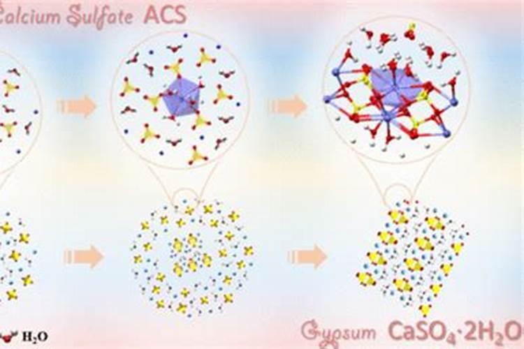 面包改良剂是什么东西