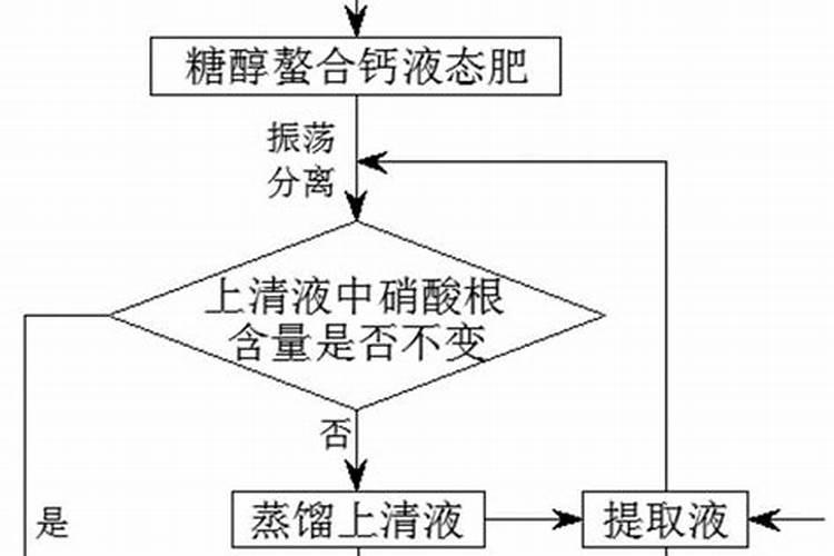 柑橘叶片黄化是由哪些原因引起的