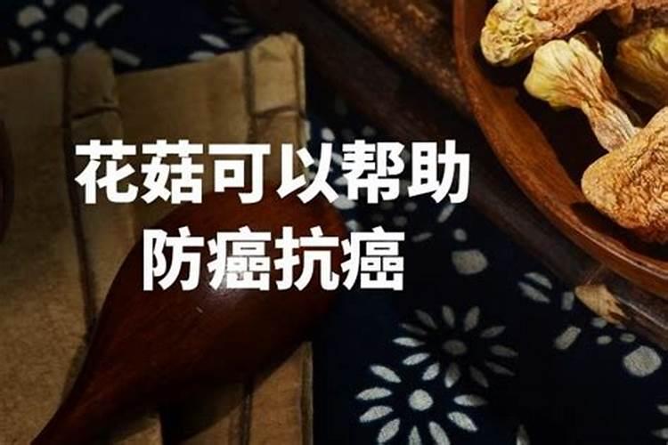 美国普利登鱼蛋白,这个有机肥怎么样。