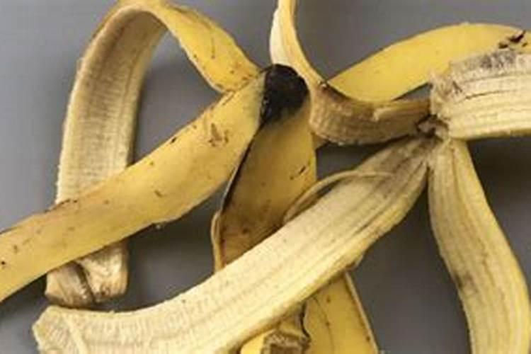 洋葱施什么肥最好