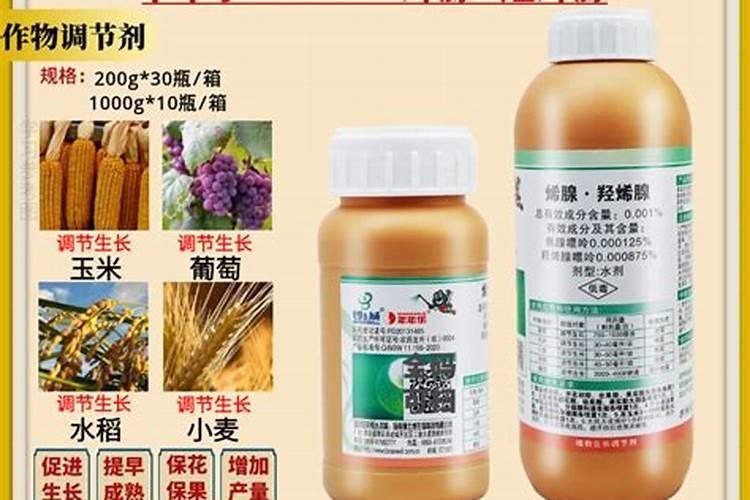 羟烯腺嘌呤与苄氨基嘌呤的区别