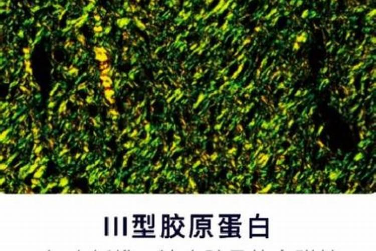 澳佳复合肥质量怎么样