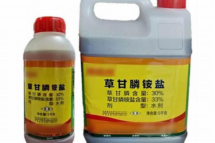 油菜花的样子与用途