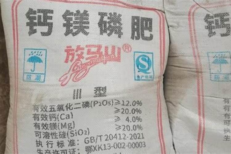 阜阳市临泉县哪里有大面积的草莓种植基地