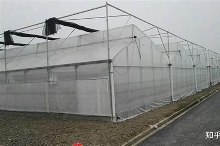 复合肥螯合技术与脲甲醛技术哪种好？