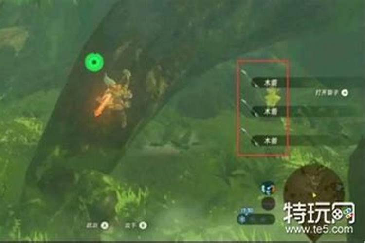 水神兽怎么打 塞尔达