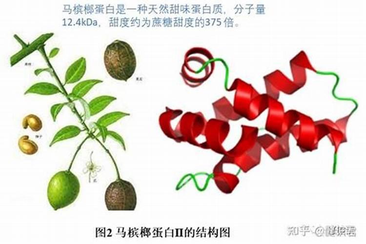 芋头施肥有禁忌,有哪些肥料不适合给芋头使用？